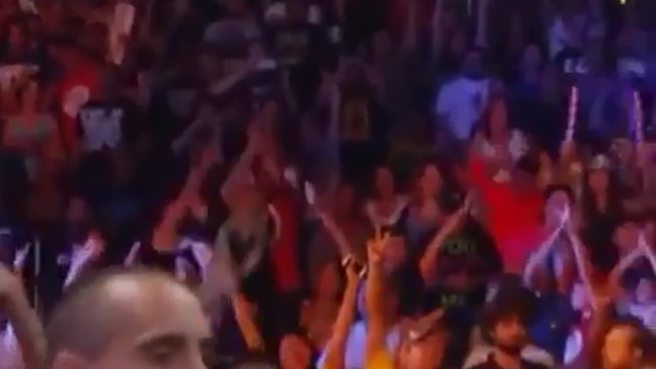 wwe dander man