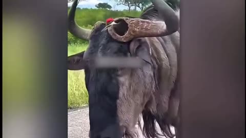 some of the most unbelievable moments ever!!