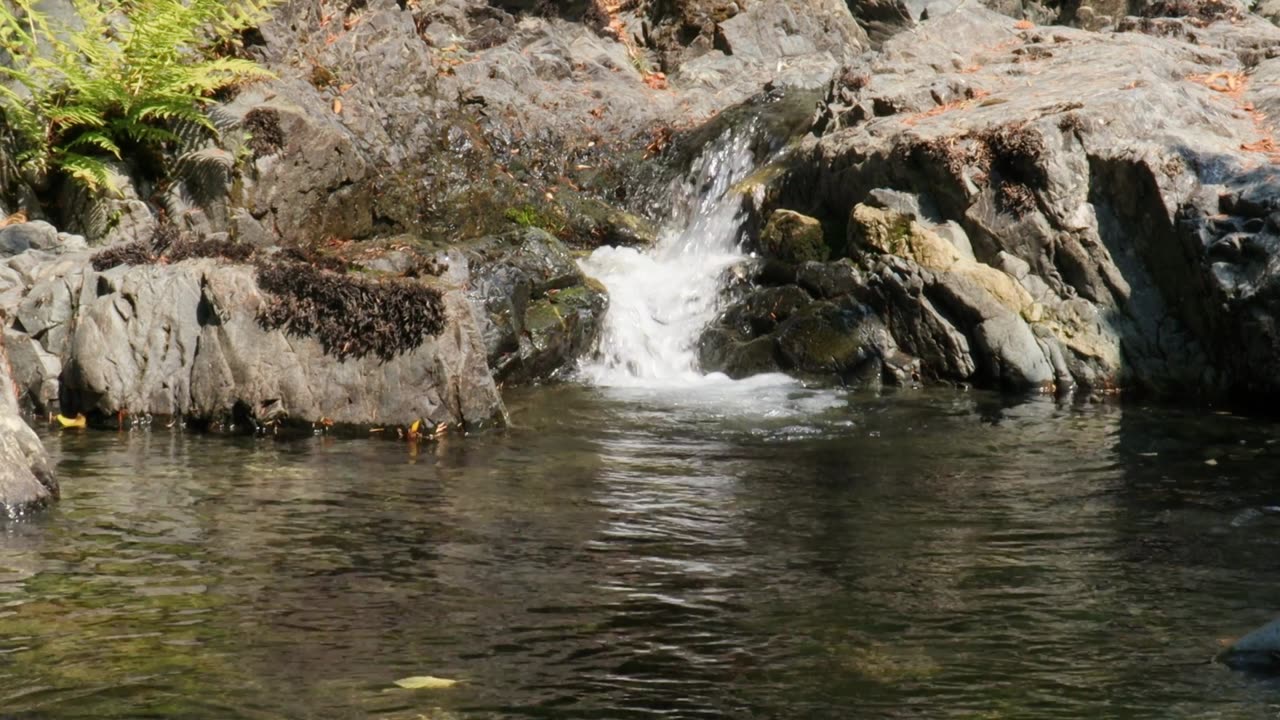 Gordon River Mid-August