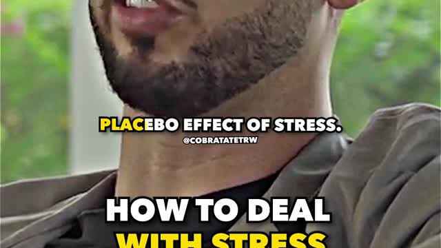 Andrew Tate on how to handle stress better