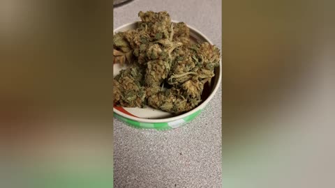 Another Glorious Strain Review