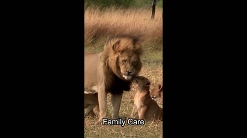 Family Care