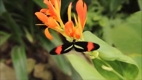 Relaxing Music | Sleeping, Meditation, Stress Relief | [5942] ⭐️