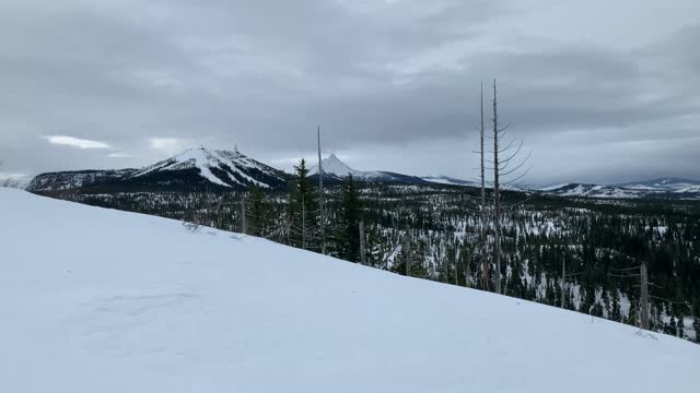 Near Summit Panorama – Central Oregon – Potato Hill Sno-Park – 4K