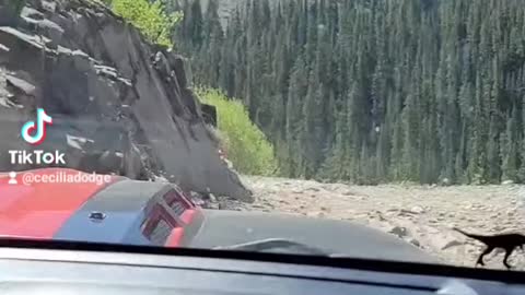 Jeep Colorado trip