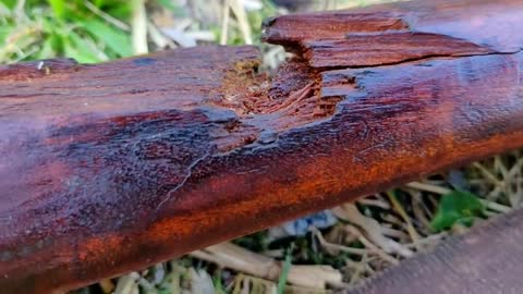 Bullet RIDDLED WW2 Rifle