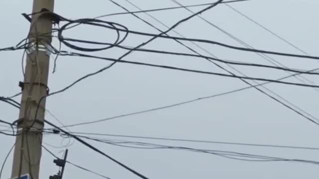 Attack Ka-52 at extremely low altitude in the sky over the LPR