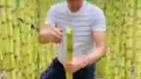 Let's Having A Good Feel Of The Sugarcane #satisfying #short