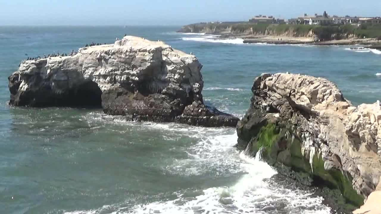 Santa Cruz, CA — Natural Bridges State Beach #1