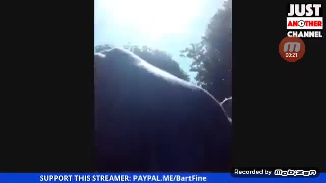 Alex Jones Meets BartFine