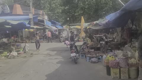 Walking market in phenom Penh