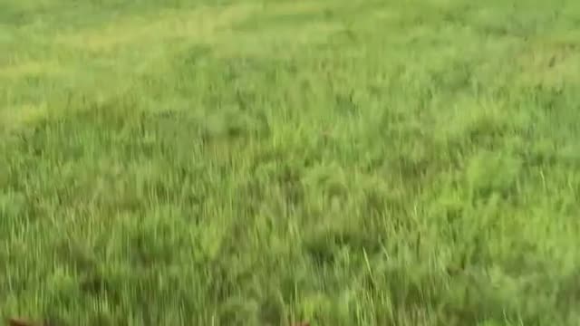 Venus Ranch - Views from the saddle.