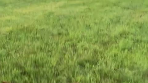 Venus Ranch - Views from the saddle.