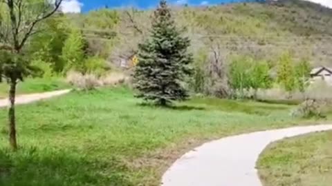 미국 유타 | 와사치 마운틴 스테이트 파크 | 주립 공원 | WASATCH MOUNTAIN STATE PARK IN UTAH | #SHORTS