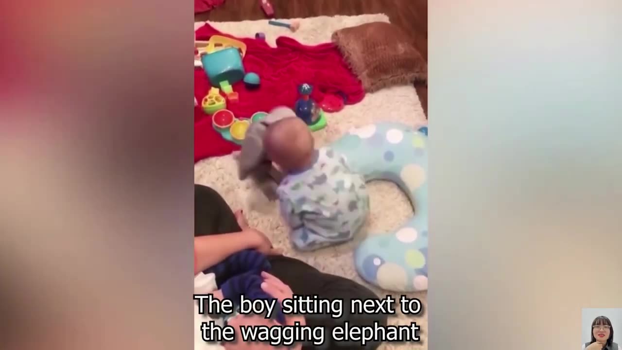 Hello Cactus! Funniest Babies and Naughty Toy become good friends