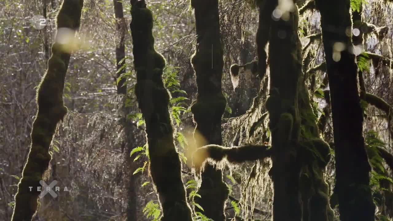 Terra X - Nordamerikas versteckte Paradiese Doku