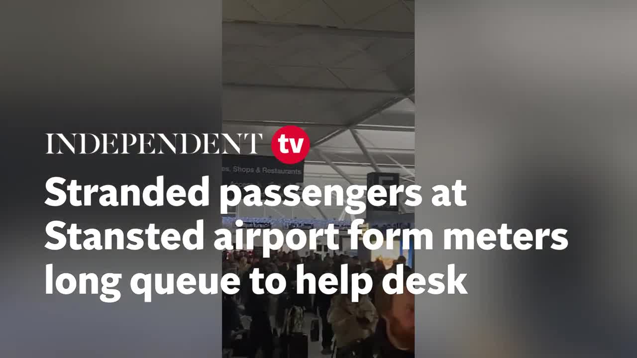 Stranded passengers at Stansted airport form meters long queue to help desk