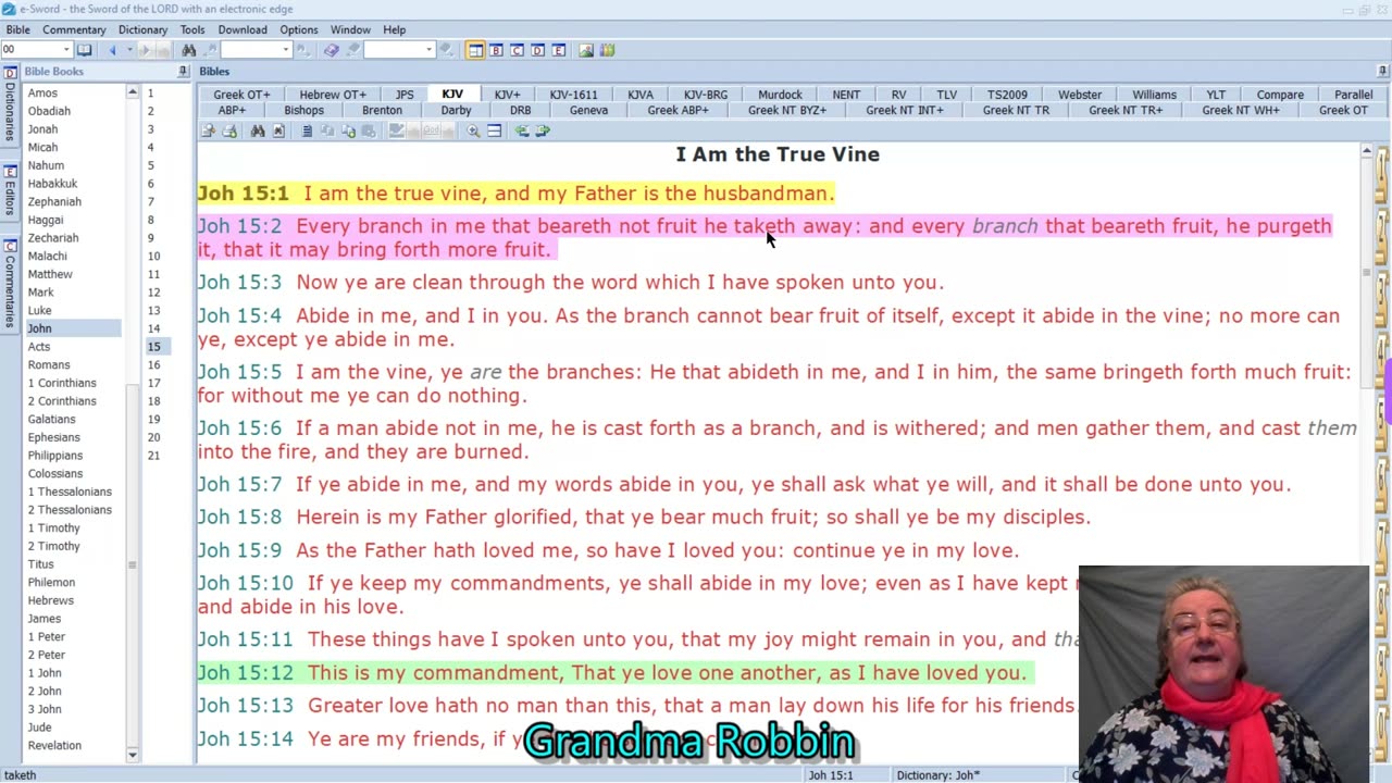 Revelation 14:14