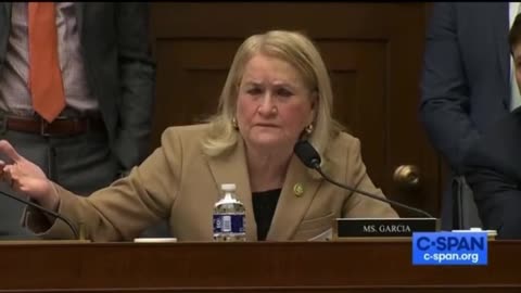 Democrat Gets TRASHED After INSANE Line Of Questioning
