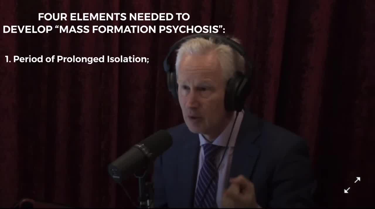 What Is “Mass Formation Psychosis” and Who Is Responsible For It