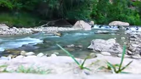 Flowing Water In A Small Creek