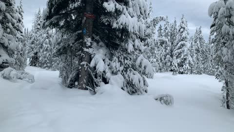 I’m the Only One Here – Central Oregon – Vista Butte Sno-Park – 4K