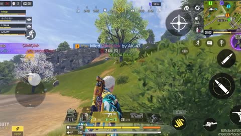 call of duty mobile game