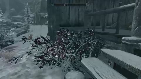 The Elder Scrolls V Skyrim Female Khajit Vera Part 6 Dawnstar Glitch Chest