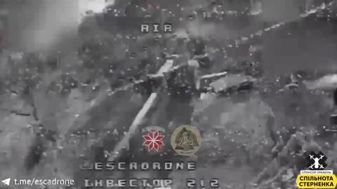 Ukrainian Drone Takes Out Heavy Gun