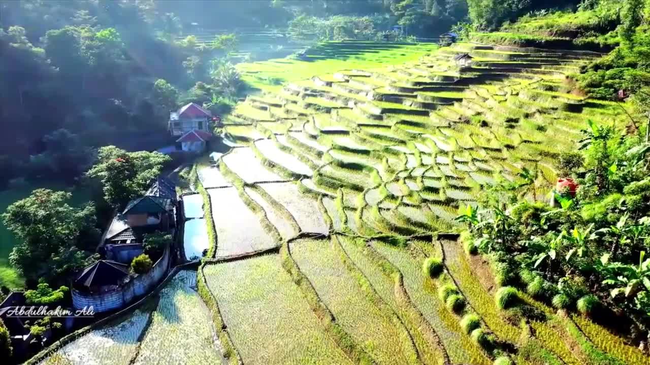 Relaxing Music | Sleeping, Meditation, Stress Relief | [943] ⭐️