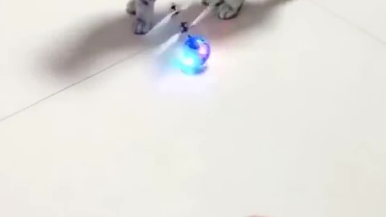 Funny cat playing 😂don’t laugh