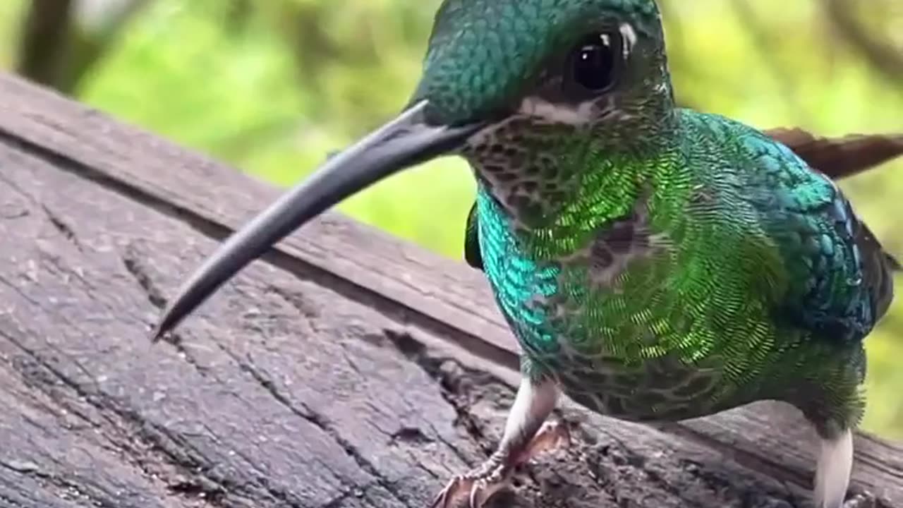 Beauty of nature