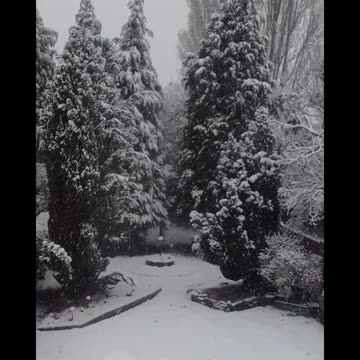 SNOWING IN SPRING IN THE SOLIHULL - UK