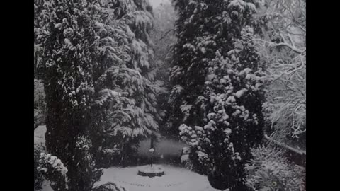 SNOWING IN SPRING IN THE SOLIHULL - UK