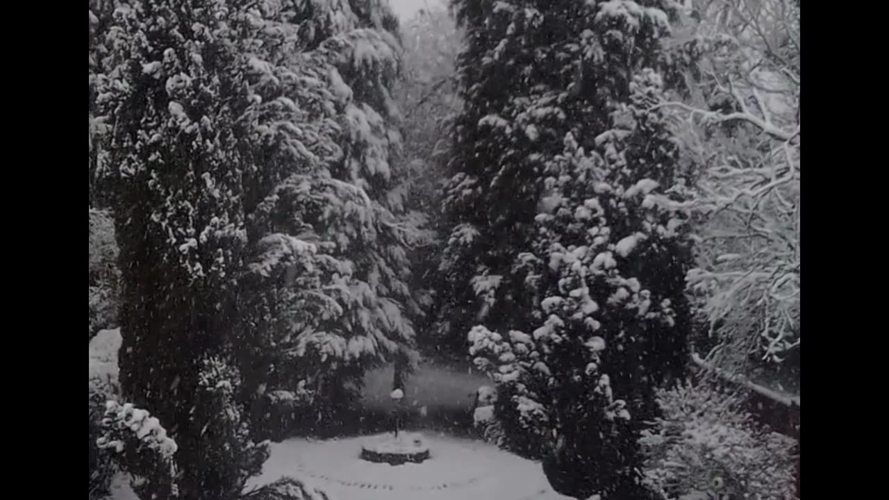 SNOWING IN SPRING IN THE SOLIHULL - UK