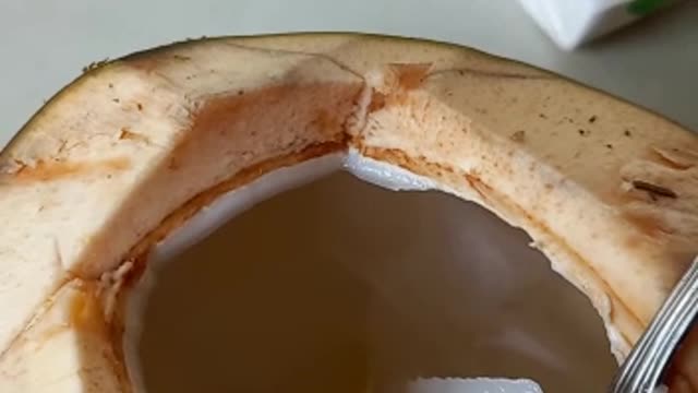 fresh coconut fruit when drunk during the day when it's hot