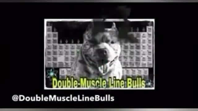 The New Best way to preform a (AI) Artificial insemination in dogs!!!