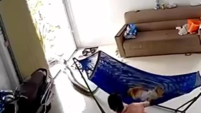 How long will it take you to notice the snake