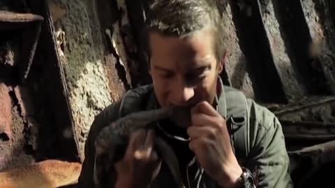 Bear Grylls' Top 3 Most Disgusting Moments NOT FOR THE SQUEAMISH