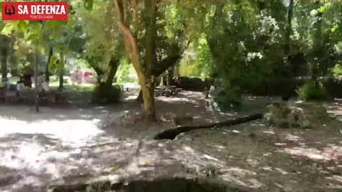 San Leonardo - Sardinya