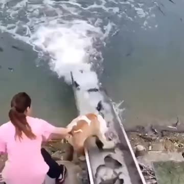 I really wanted fish)))