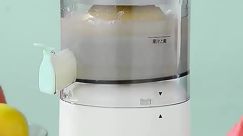 Multifunctional Slow Juicer Portable Household Juice Machine