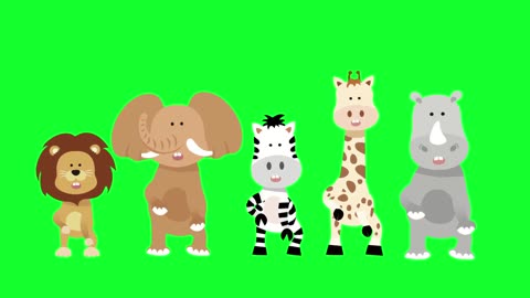 beautiful animal caricature video