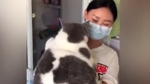 Funny Animal Videos