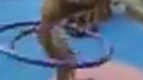 Monkey Dancing vedio😂🤣🤩