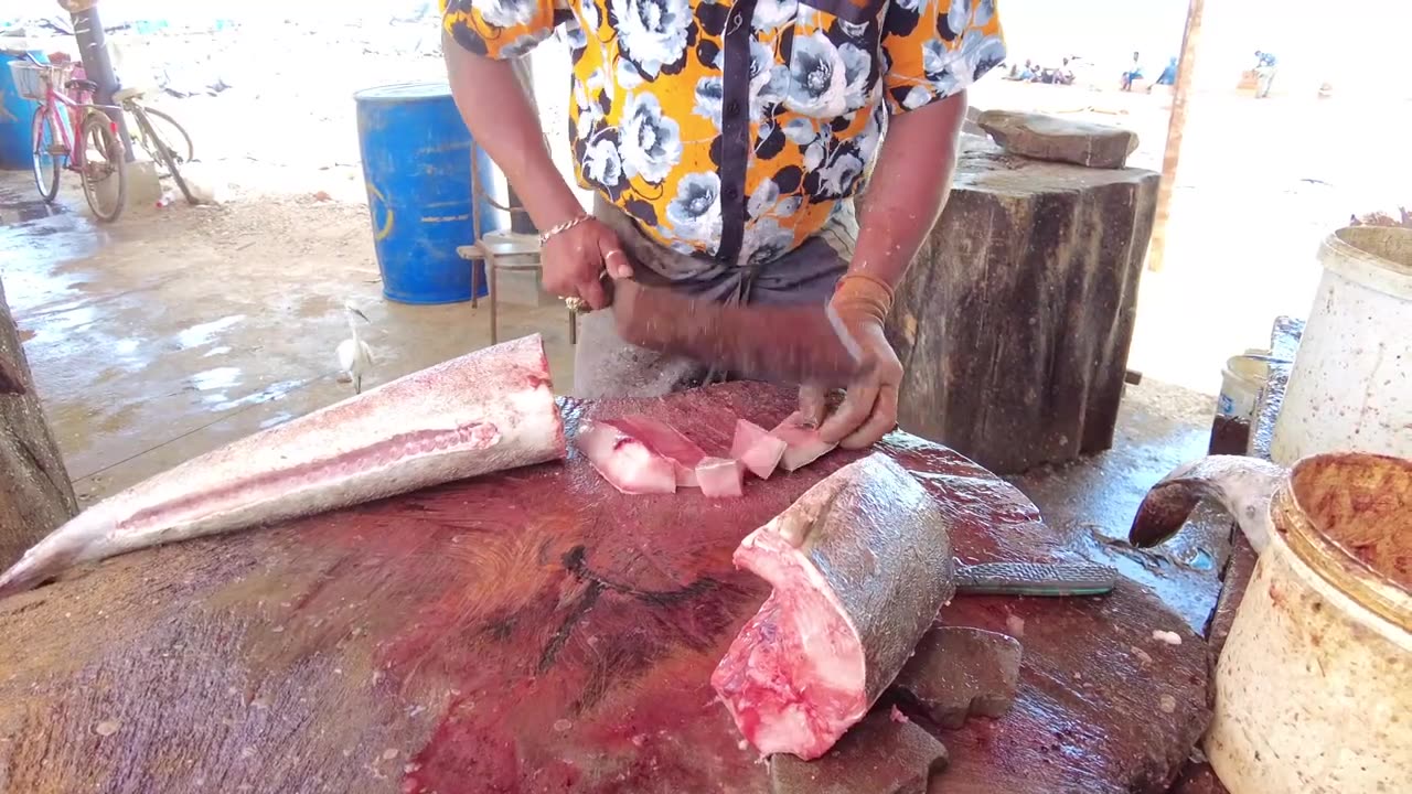 Huge Cobia Fish Cutting Skills _ Fish Cutting Skills Sri Lanka