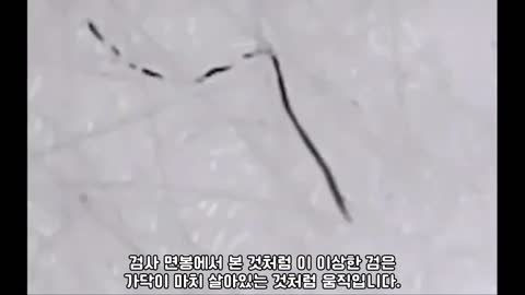 재업)) 열과 물에 반응하는 모겔론스