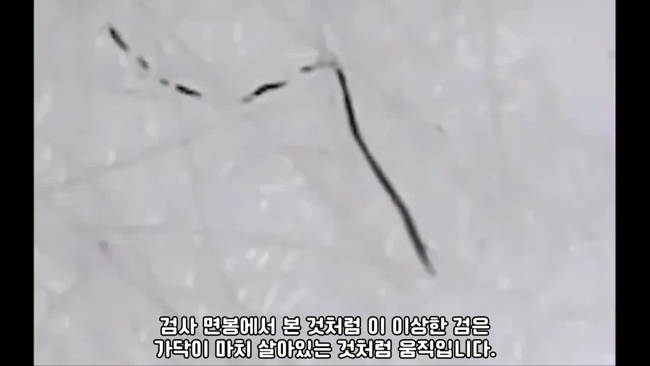 재업)) 열과 물에 반응하는 모겔론스