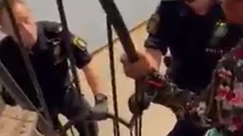 Folkhemsbrottslighetens organiserade barnkidnappning