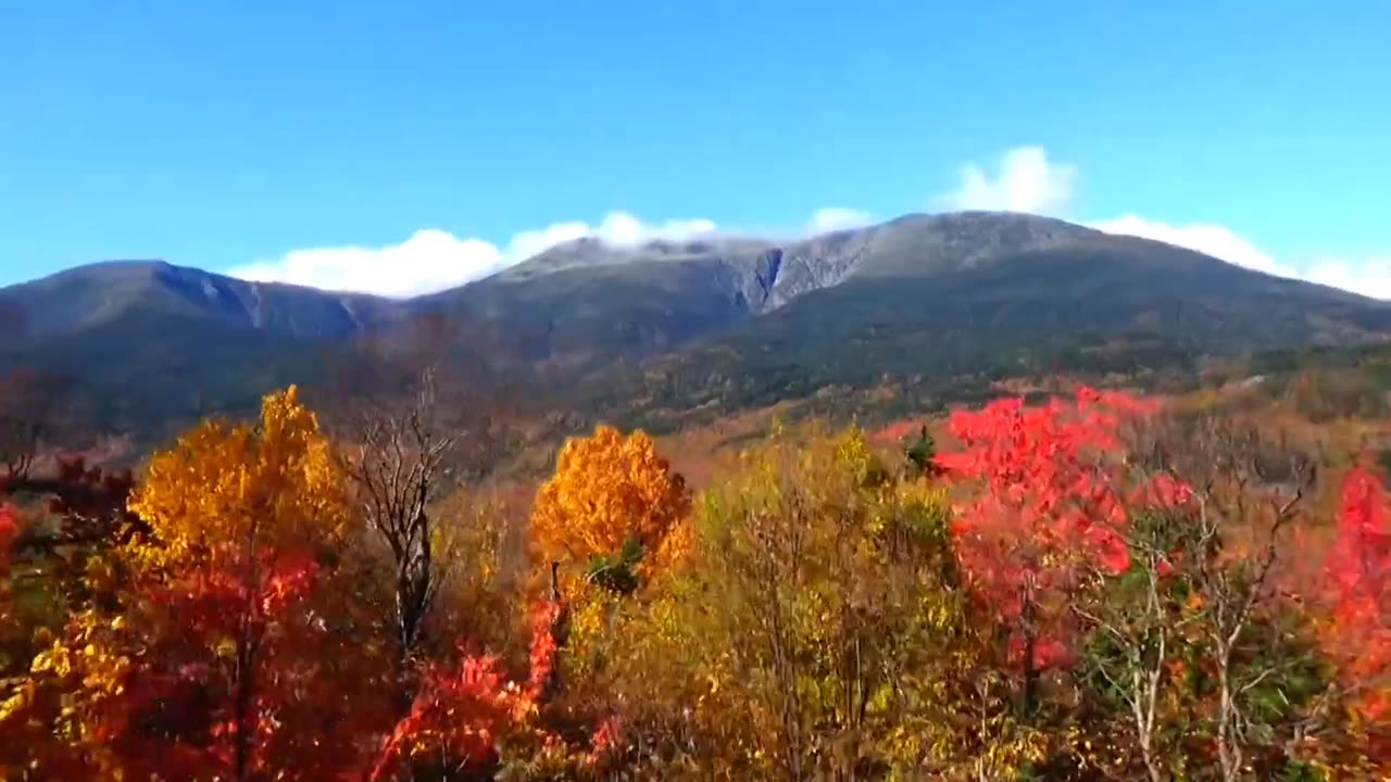 Fall Foliage